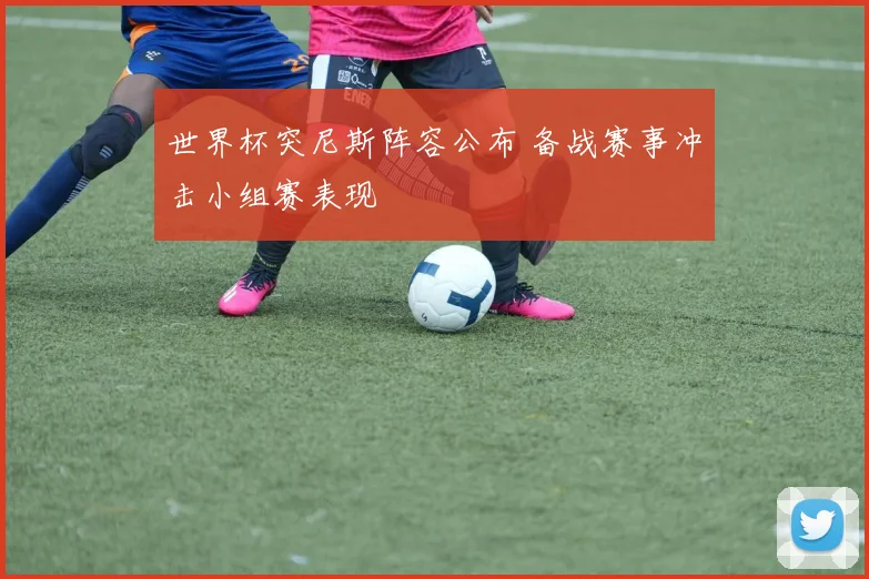 世界杯突尼斯阵容公布 备战赛事冲击小组赛表现